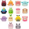 image:imageSquishalongs MiniSquish 14Pack Wave 5 Style 1Style 2 W5