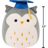 image:imageSquishmallows Original 12in Cam The Calico Cat in Graduation Cap  Official Jazwares Plush MediumSizedHoot the Grey Owl in Graduation Cap