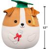image:imageSquishmallows Original 12in Cam The Calico Cat in Graduation Cap  Official Jazwares Plush MediumSizedJack Russell Terrier in Graduation Cap