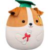 image:imageSquishmallows Original 12in Cam The Calico Cat in Graduation Cap  Official Jazwares Plush MediumSizedJack Russell Terrier in Graduation Cap