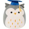 image:imageSquishmallows Original 12in Cam The Calico Cat in Graduation Cap  Official Jazwares Plush MediumSizedHoot the Grey Owl in Graduation Cap
