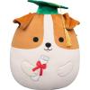 image:imageSquishmallows Original 12in Cam The Calico Cat in Graduation Cap  Official Jazwares Plush MediumSizedJack Russell Terrier in Graduation Cap