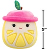 image:imageSquishmallows Original 5in Frozen Dessert Mystery Squad  Official Jazwares Scented Plush LittleFruit Mystery Squad